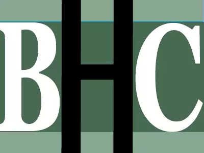 bhc profile