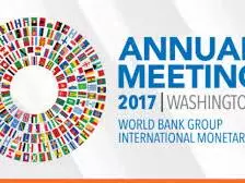 imf spring profile